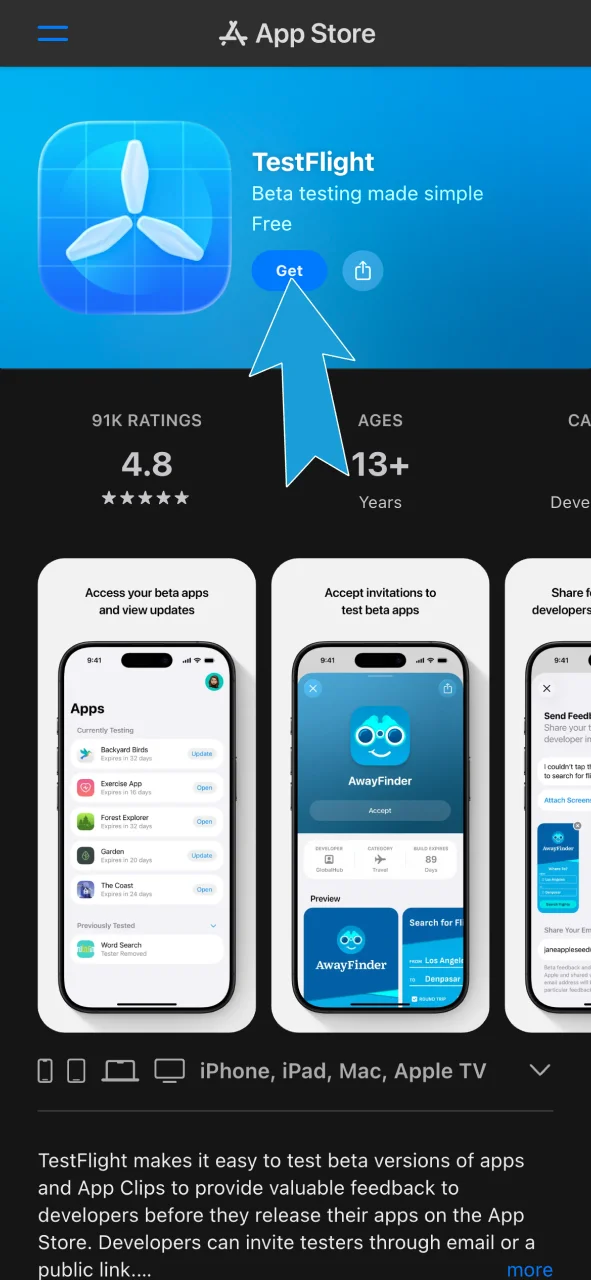 Open TestFlight and download the app from the App Store to continue with Megapari.