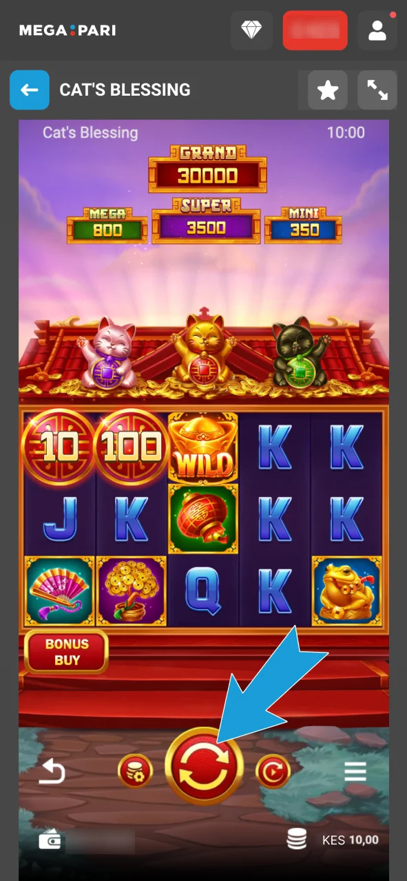 Learn the rules and start gambling on Megapari now.