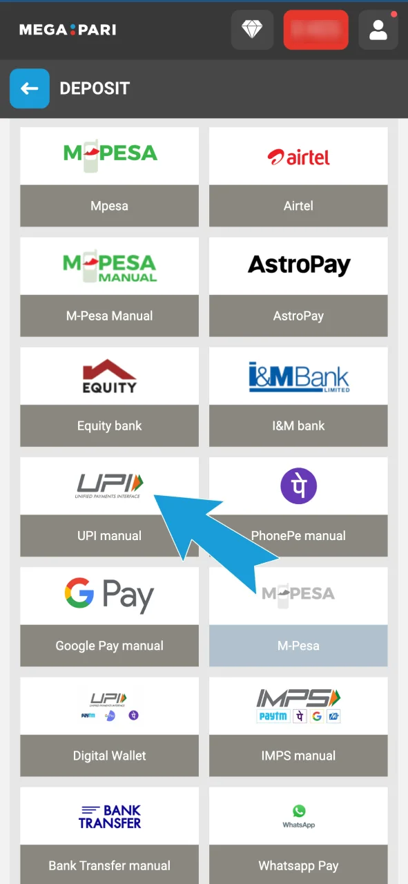 Choose a payment method on Megapari and enter the deposit amount.