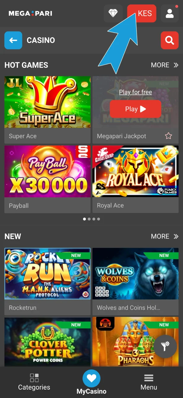 Click the Make a Deposit button on Megapari and add funds to your account.